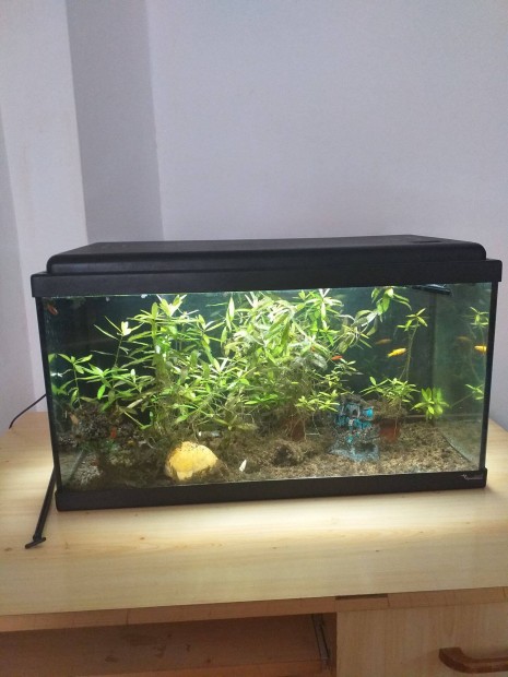 Aquatlantis 60L akvrium szett elad