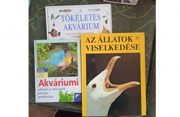 Aqvriumi knyvek