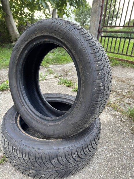 Arivo Carlorful 195/55 R15  ngyvszakos gumiabroncs 2db 