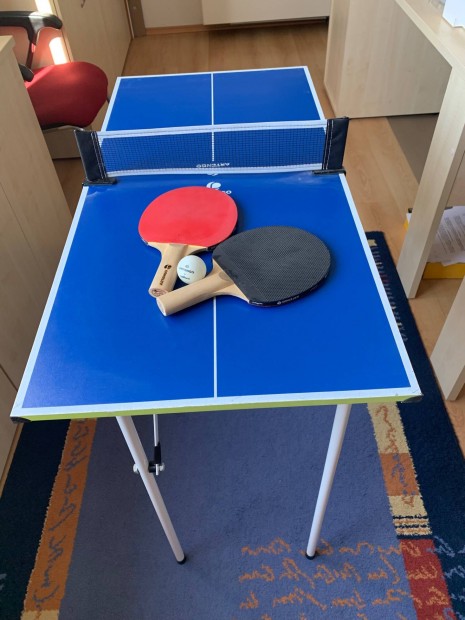 Artengo mini Ping pong asztal