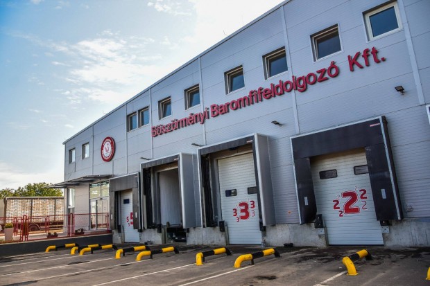 Áruterítő Gépkocsivezető C kat jogosítvánnyal Hajdúböszörmény