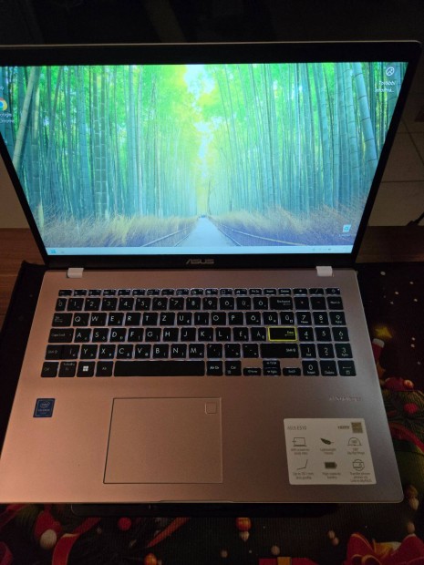 Asus Laptop-Sgkn7Ktl