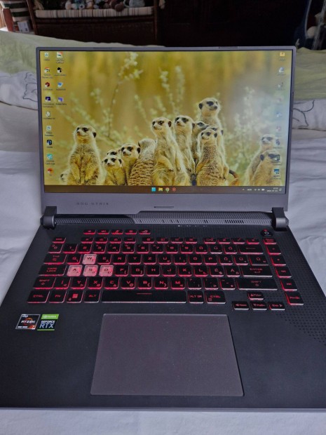 Asus ROG Strix G15 gamer laptop, 1,5 TB, Gefroce Rtx 3050