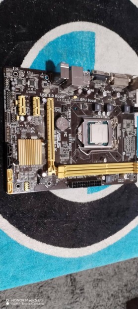Asus h81m-k ddr3 alaplap processzoral