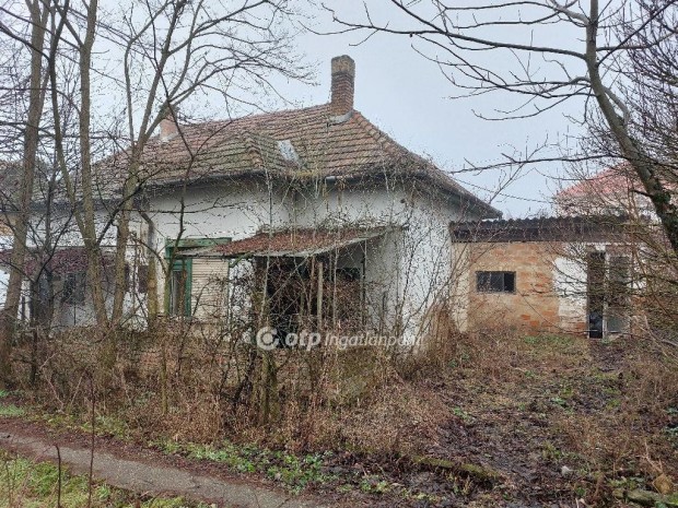 Asz�di elad� 36 nm-es lak�s