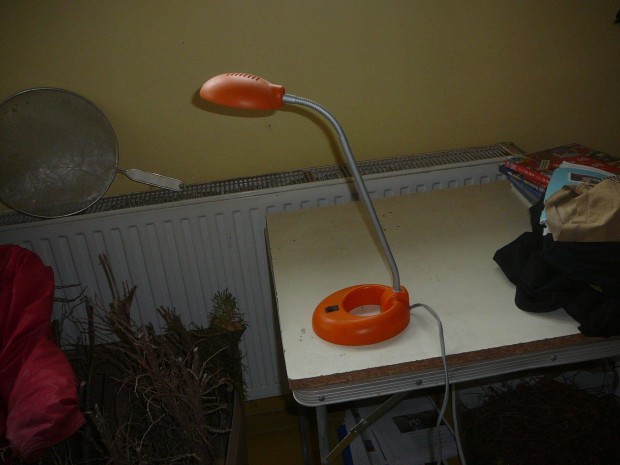 Asztali s olvaso lmpa
