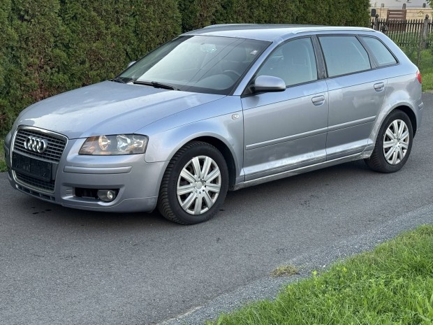 Audi A3 8p 1.9 pdtdi BLS alkatrsz nek