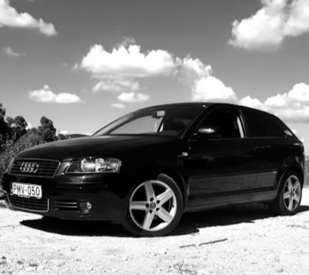 Audi a3 8p 1.6