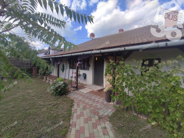 Autentikus belter�leti  tanya �sszk�zm�vel!