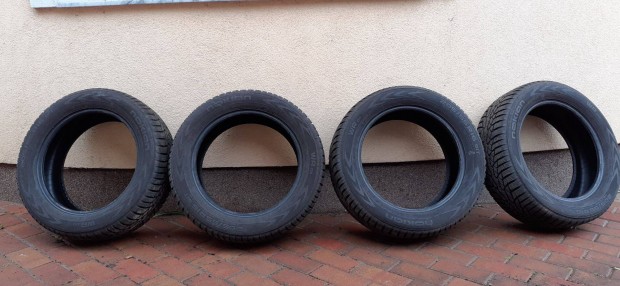 Autgumi 4 db Nokian WR D4 tli gumi 205/55 R16