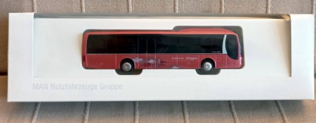 Autmodell - busz modell MAN Lion's Regio - Rietze modell