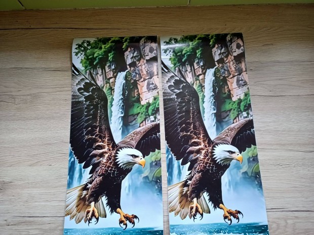 Autós matrica ajtóra 22x50 Eagle