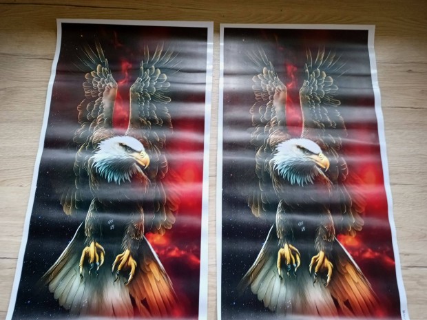 Autós matrica ajtóra 25x48 Red Eagle