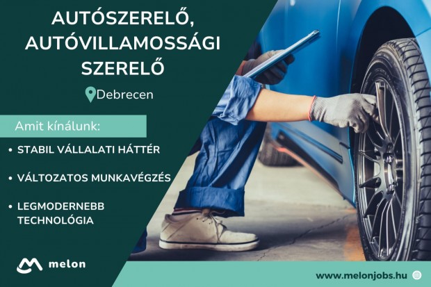 Aut�szerel�, Aut�villamoss�gi szerel�