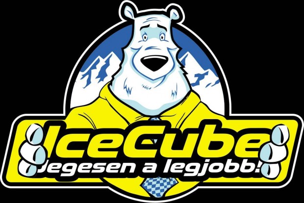 Aut�szerel� �ll�s