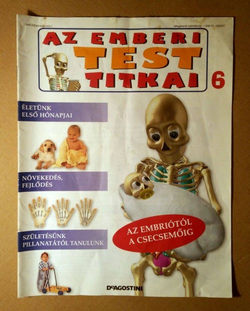 Az Emberi Test Titkai 6. (2007) Deagostini