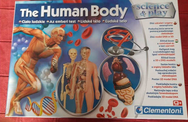 Az emberi test. The humen body jtk