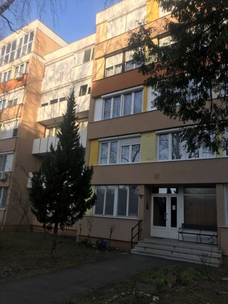 Azonnal K�lt�zhet� Alb�rlet Zalaegerszegen