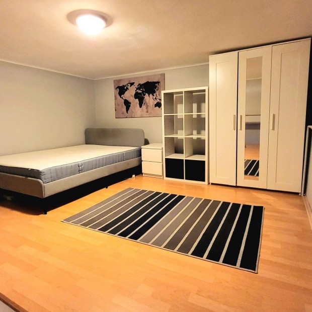 Azonnal bek�lt�zhet� VII.ker�leti Kir�ly utcai 17+12 nm-es apartmant