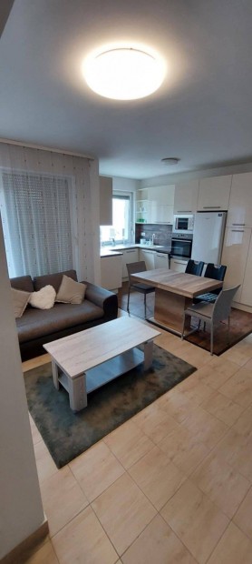 Azonnal k�lt�zhet�, kl�m�s, nappali + 1 szob�s lak�s kiad�!