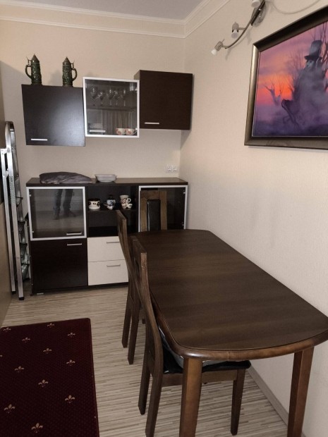 Azonnal k�lt�zhet� alb�rlet 