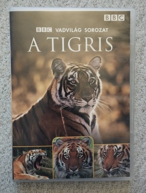 BBC A tigris dvd elad