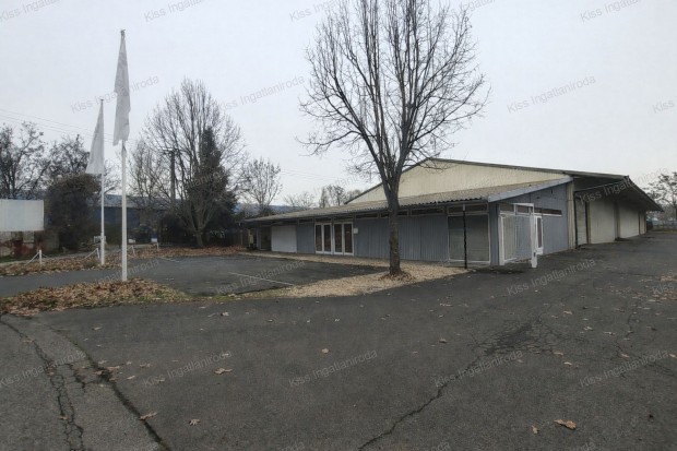 B�K�SCSABA - IPARI TELEPHELY KIAD�  - Kiv�l� strat�giai