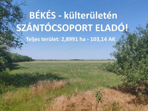 BÉKÉS - külterületén SZÁNTÓ ELADÓ (Jégvermi kertek)