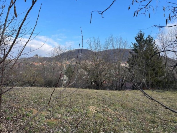 BERUH�Z�K, K�Z�S TELEKRE IKERH�ZAT TERVEZ� FIATALOK FIGYELEM!