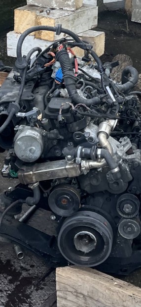 BMW 318d motor bontdik !