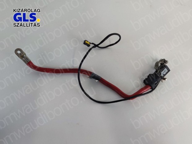 BMW 7 (E65, E66, E67) Pozitv kbel (6908745)