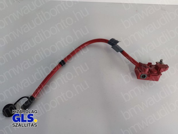 BMW 7 (F01, F02, F03, F04) Pozitv kbel (9151347, 61129151347)