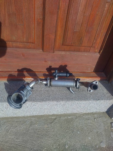 BMW E46 320d EGR ht cs 