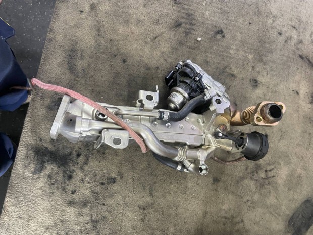 BMW F36 EGR Ht 8596444