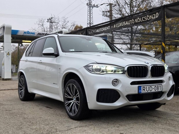 BMW X5 xdrive30d (Automata) 2.tulaj