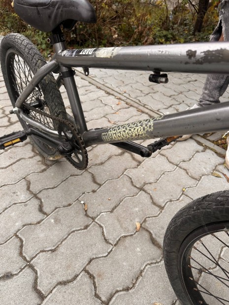 BMX mongoose