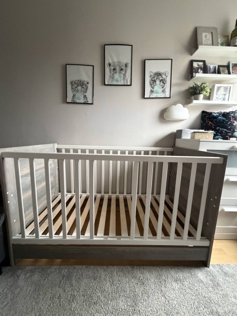 Baba�gy �s ifj�s�gi �gy 