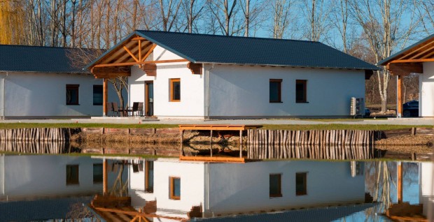 B�dogos, Tet�fed�