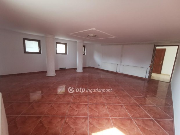 Bajai eladó 219 nm-es ház