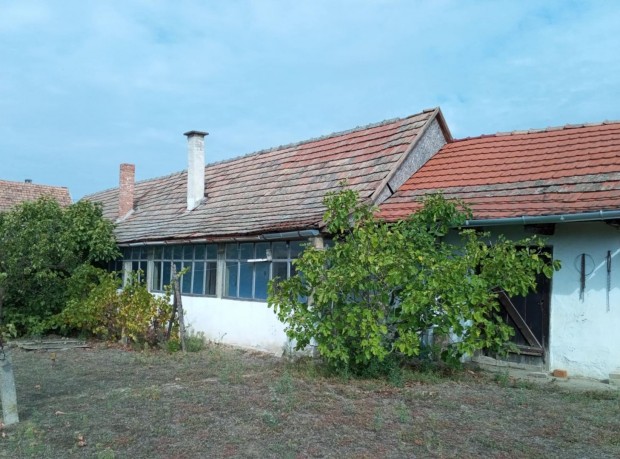 Bajaszentistv�non 982 n�gyzetm�ter ter�let� telken fel�j�tand�