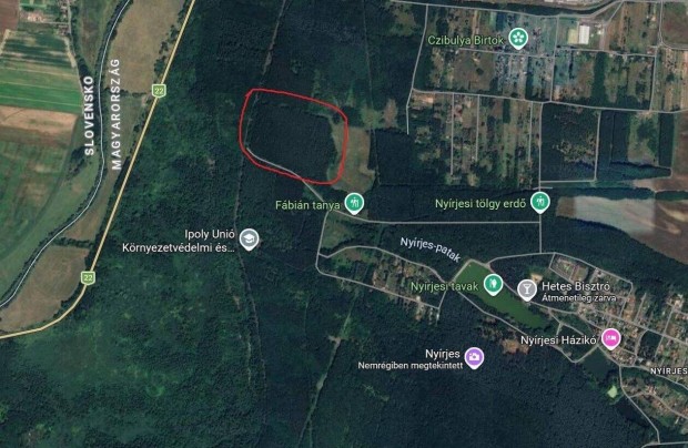 Balassagyarmati erd� elad�