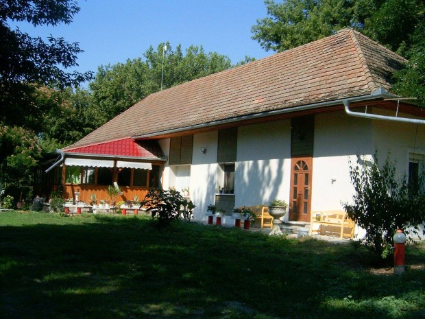 Balástya külterületi ingatlan