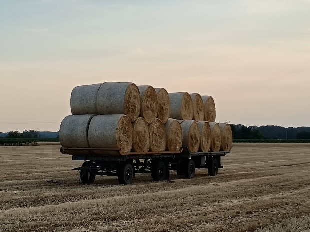 Blaszllt blahord HL 61.02 Ifa plat 