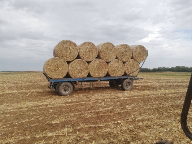 B�lasz�ll�t� p�tkocsi