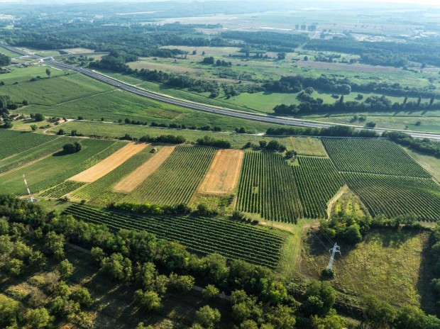 Balaton Kzelben Szlbirtok Elad