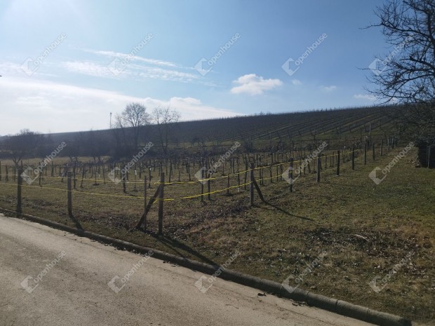 Balaton kzeli hangulatos nyaral, pince elad!