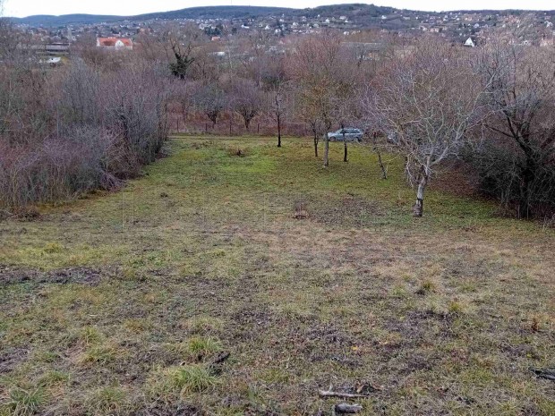 Balatonalmdi Lido Home Ingatlaniroda eladsra knlja Lovas