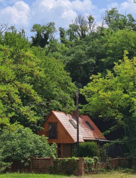 Balatonbernyben vzpathoz kzeli, erdszli nyaral elad