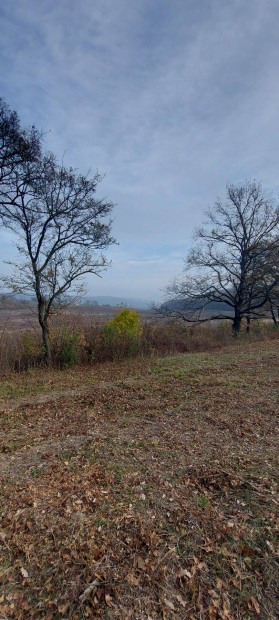 Balatoncsics Klterleti Telek