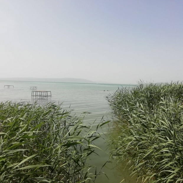 Balatonfenyves víztől 100-re nyaraló kiadó